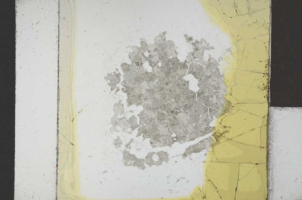 Plane Polarized, S21677