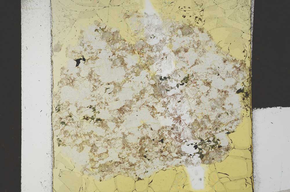 Plane Polarized, S21680