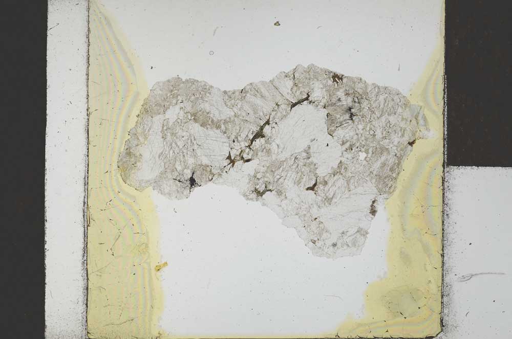 Plane Polarized, S21681