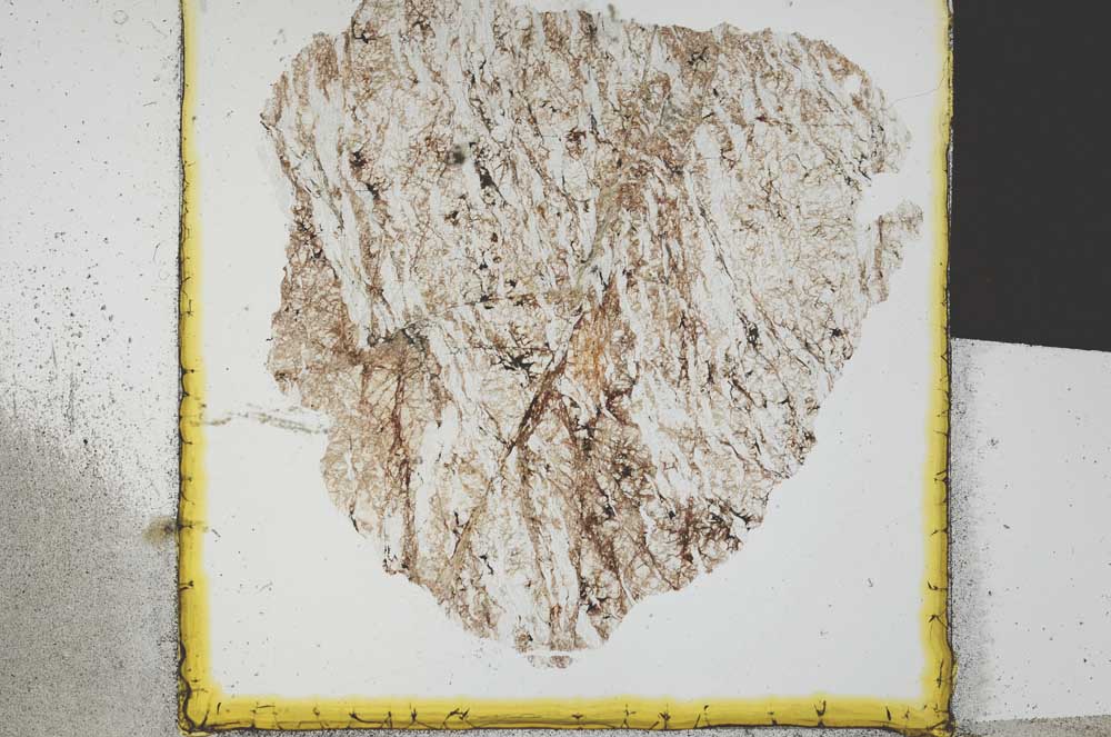 Plane Polarized, S21684