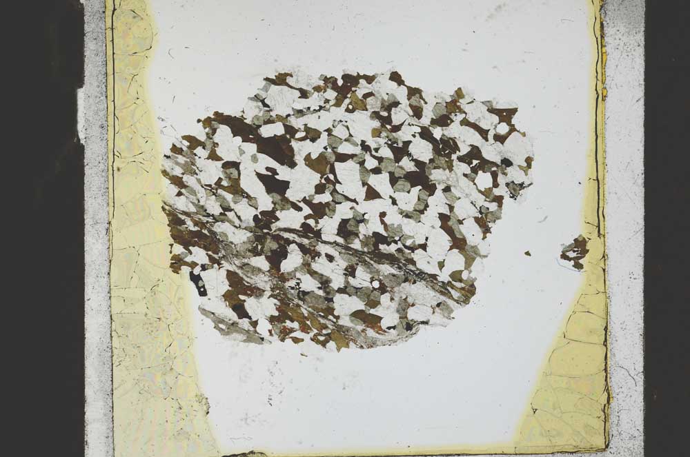 Plane Polarized, S21741