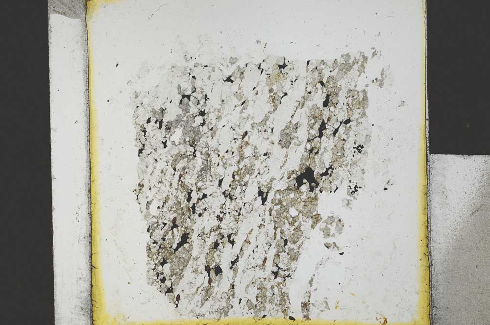 Plane Polarized, S21759