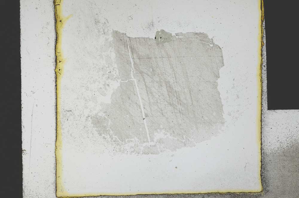 Plane Polarized, S21761