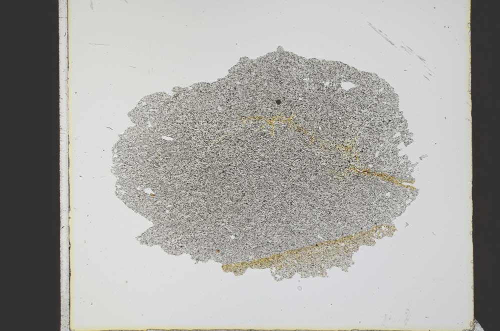 Plane Polarized, S21763