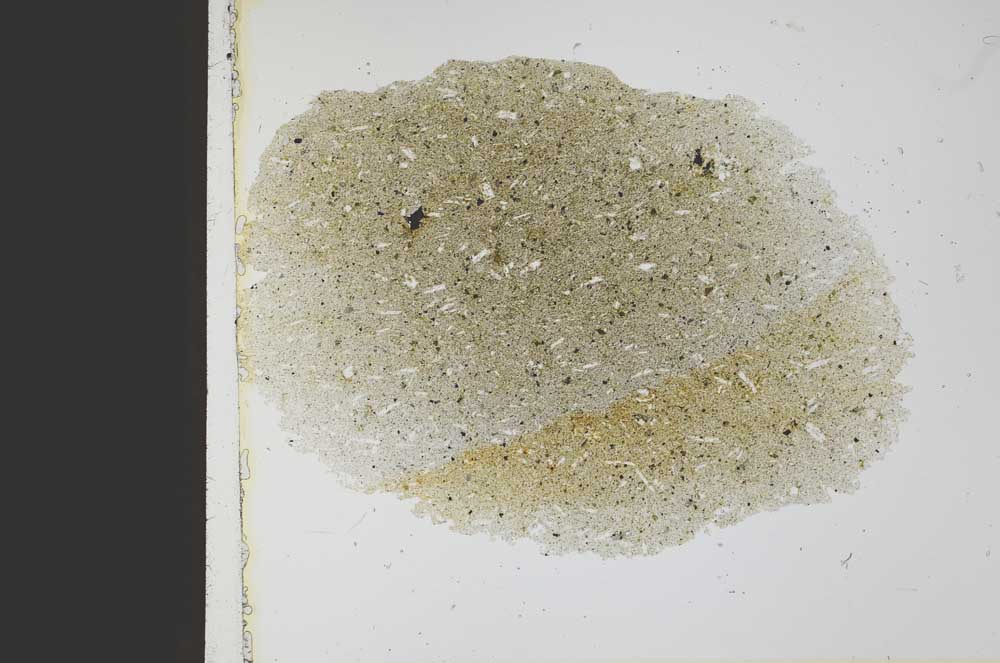 Plane Polarized, S21767