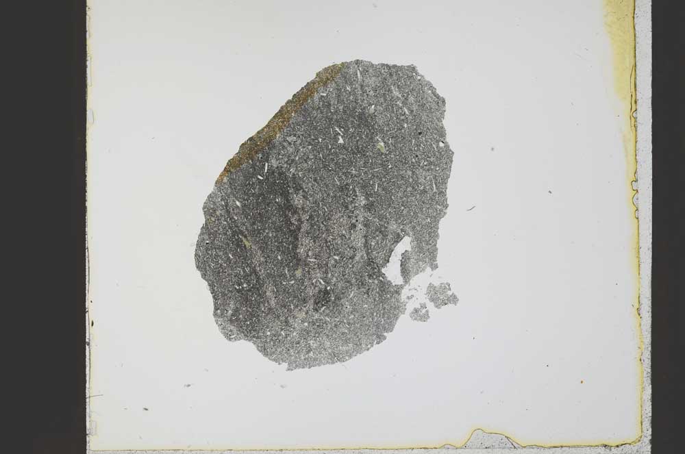 Plane Polarized, S21769