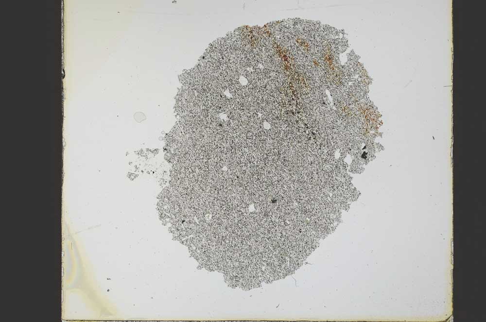 Plane Polarized, S21771