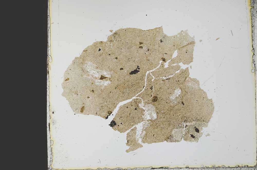 Plane Polarized, S21774