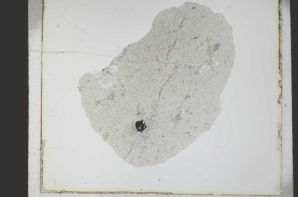 Plane Polarized, S21776