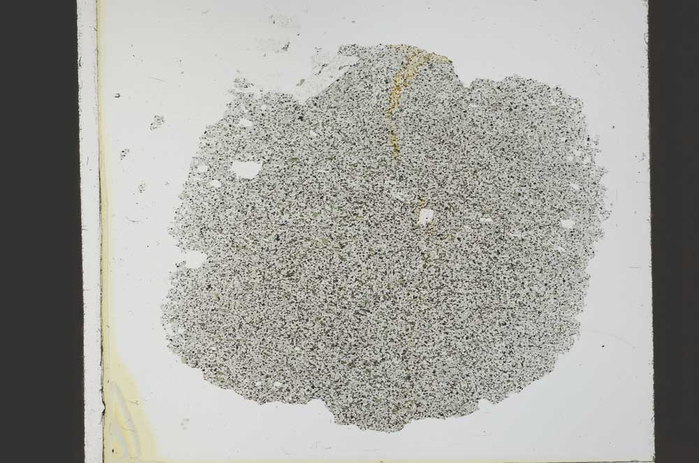 Plane Polarized, S21779