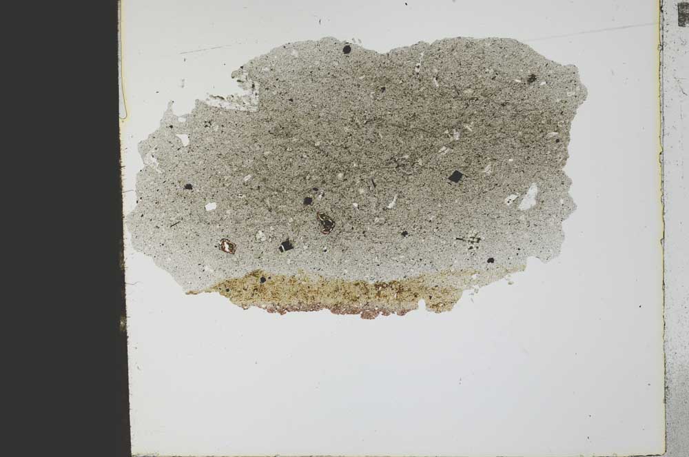 Plane Polarized, S21784