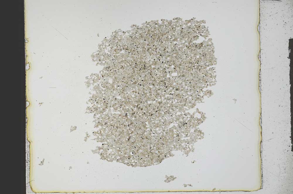 Plane Polarized, S21786