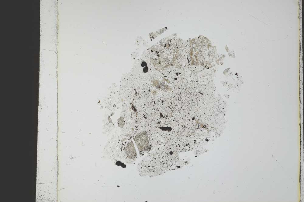 Plane Polarized, S21787