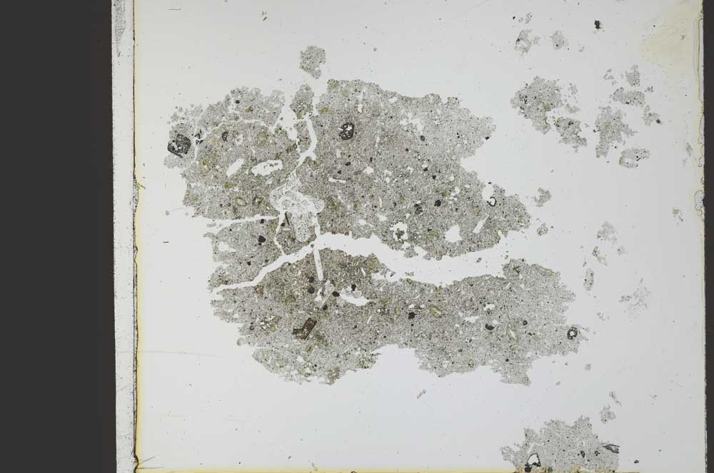 Plane Polarized, S21791