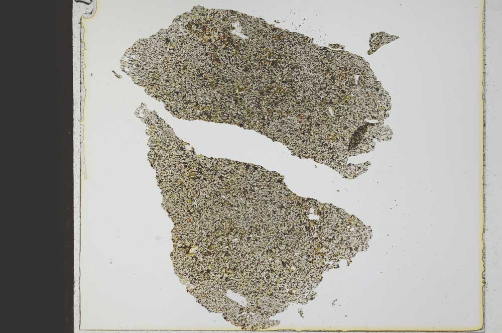 Plane Polarized, S21792