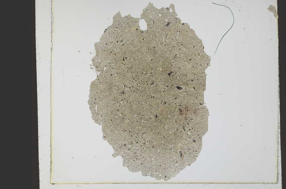 Plane Polarized, S21793