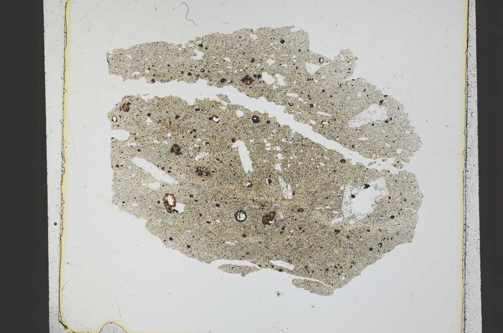 Plane Polarized, S21794