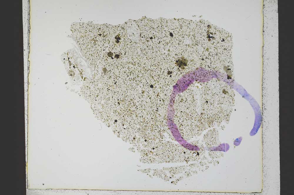 Plane Polarized, S21796