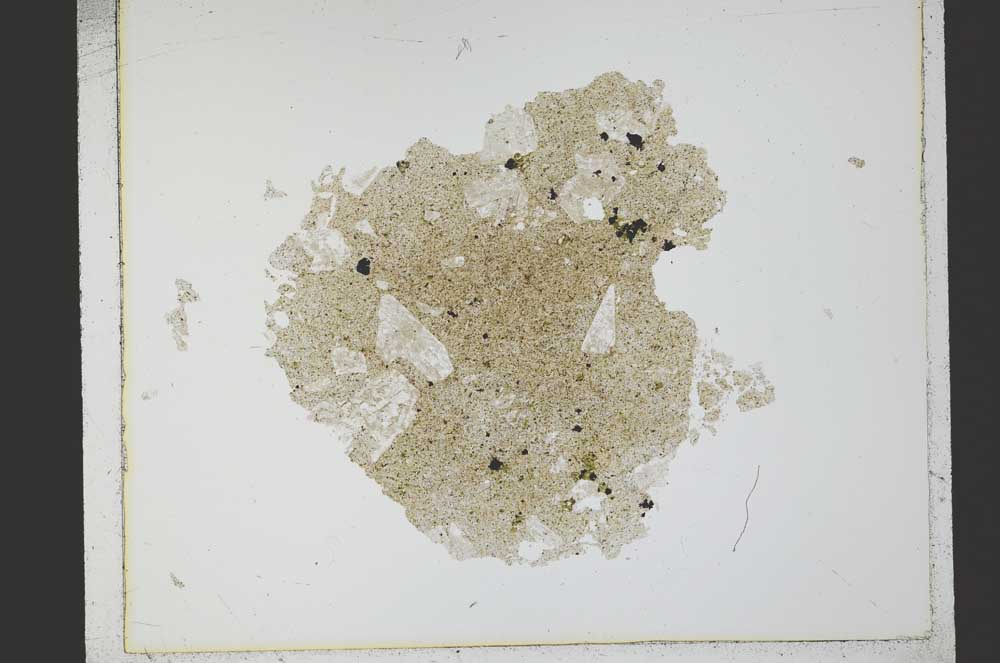 Plane Polarized, S21797