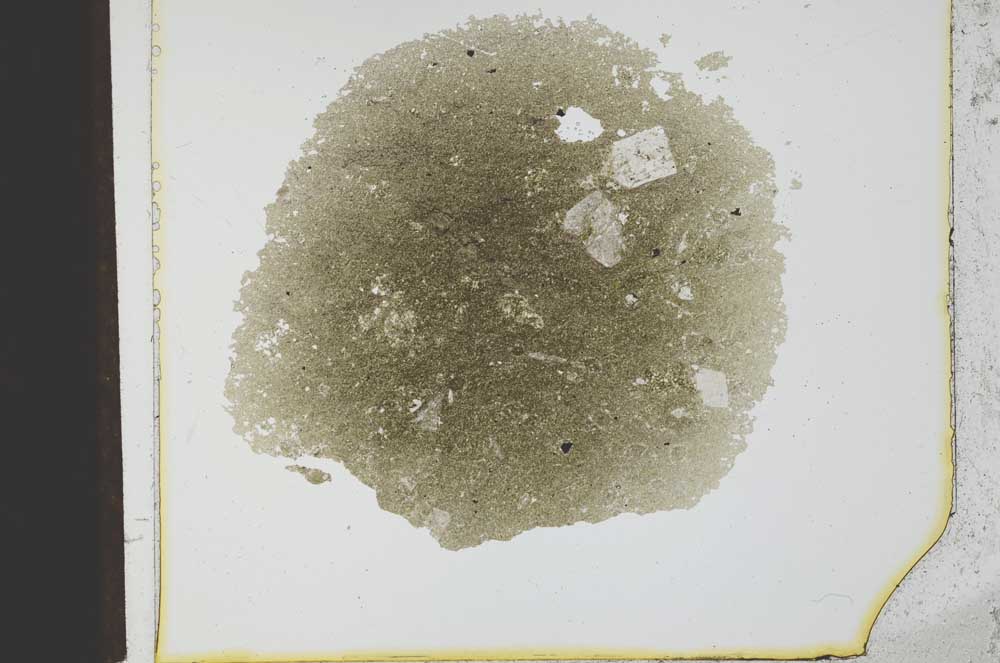 Plane Polarized, S21798