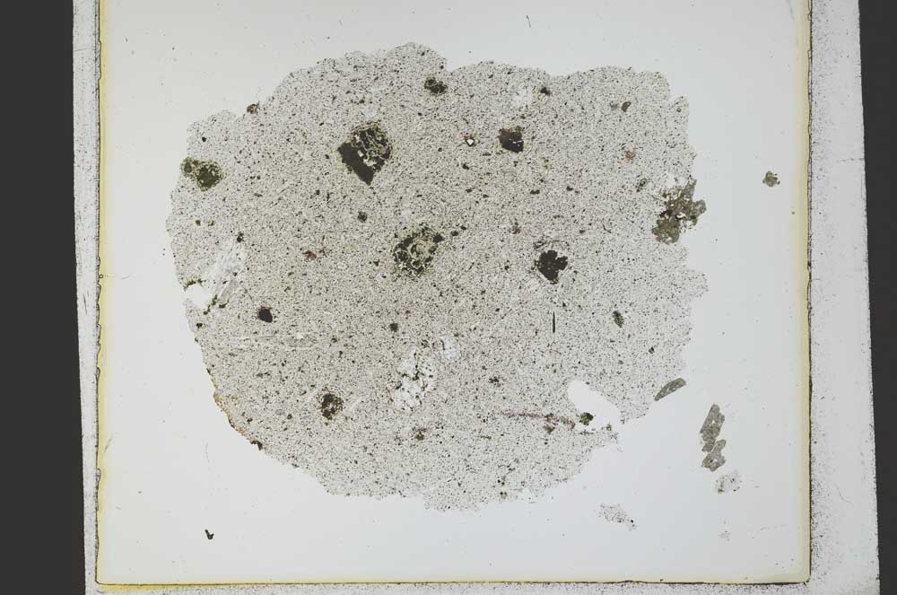 Plane Polarized, S21802