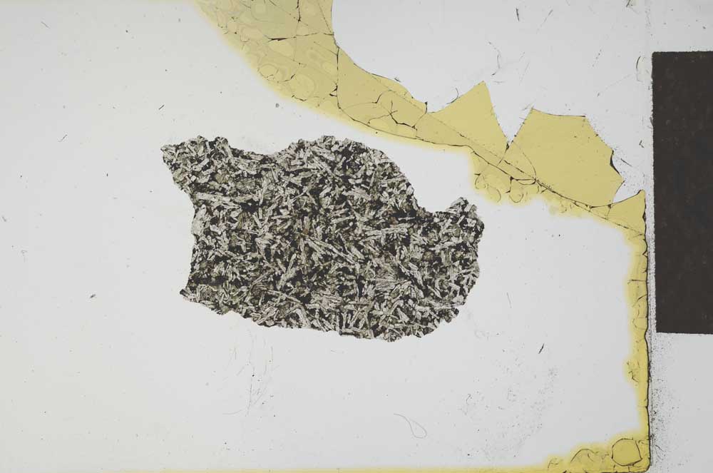 Plane Polarized, S21817