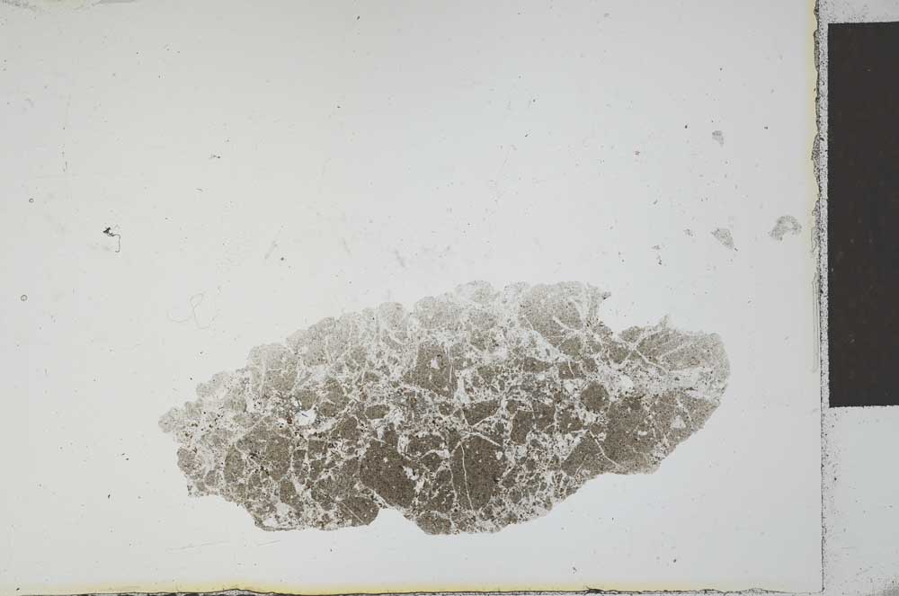 Plane Polarized, S21830