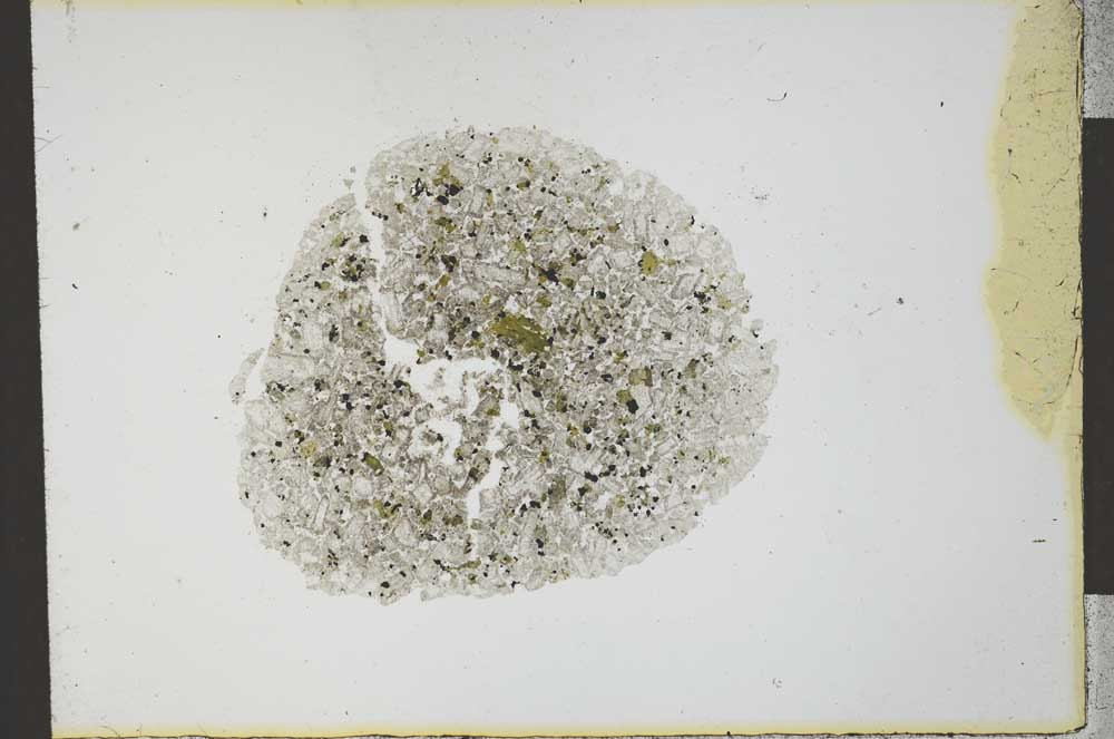 Plane Polarized, S21849