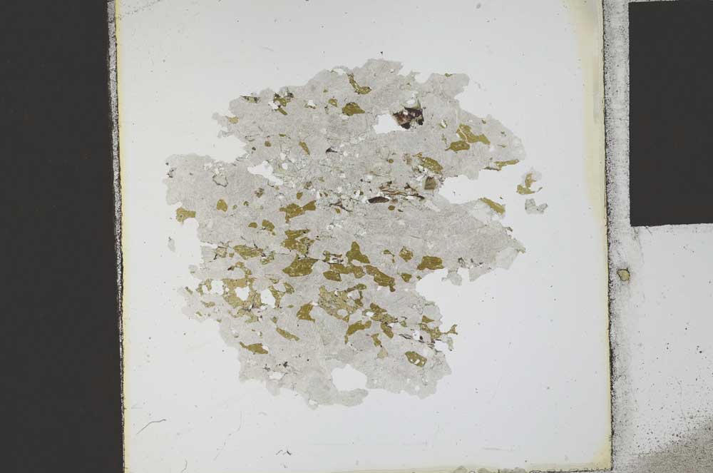 Plane Polarized, S21859