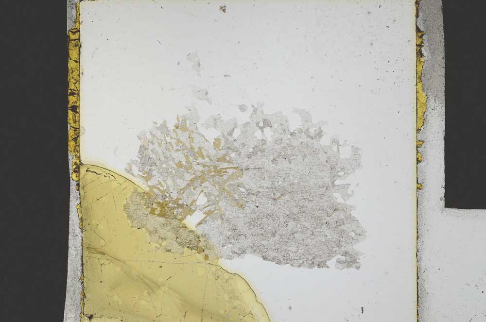 Plane Polarized, S21861