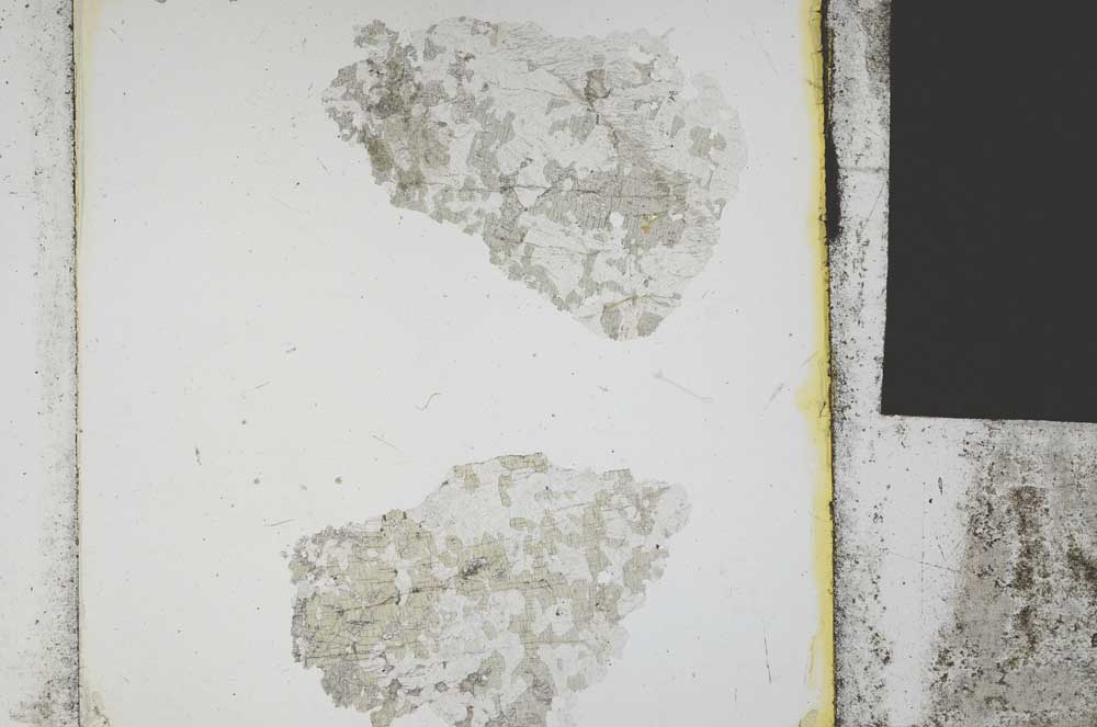 Plane Polarized, S21863