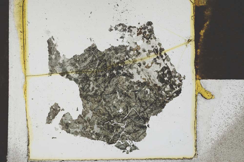 Plane Polarized, S21866