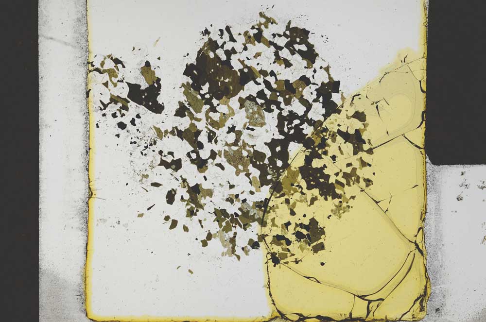 Plane Polarized, S21871