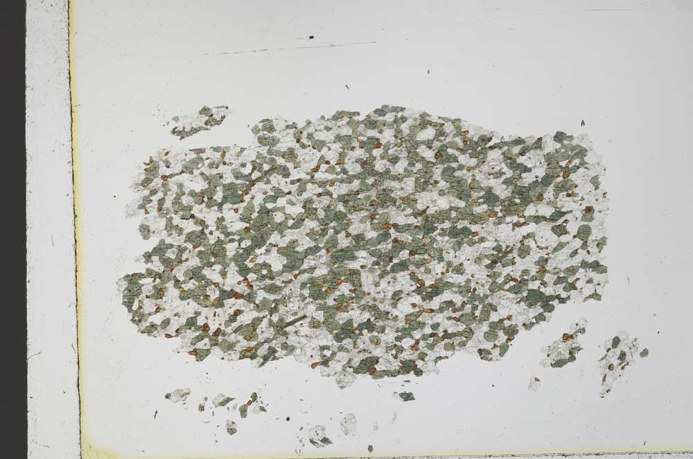 Plane Polarized, S21872