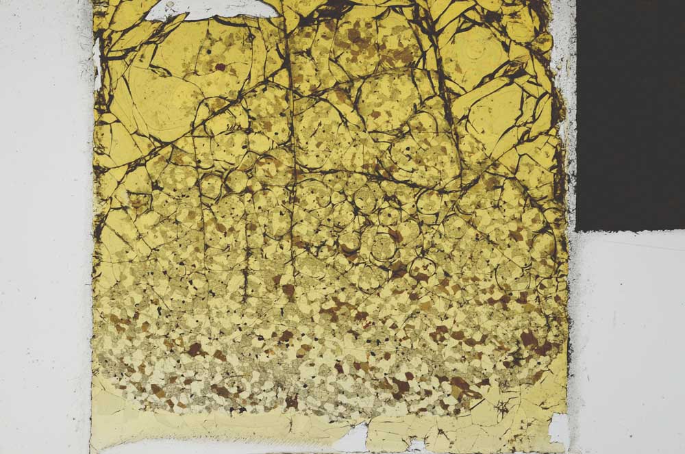 Plane Polarized, S21875