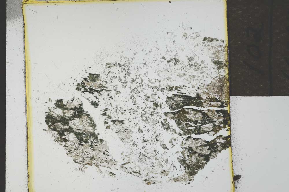 Plane Polarized, S21877