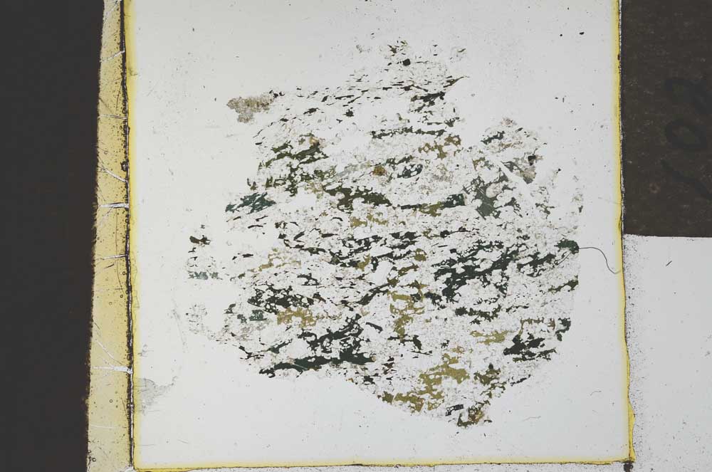 Plane Polarized, S21878