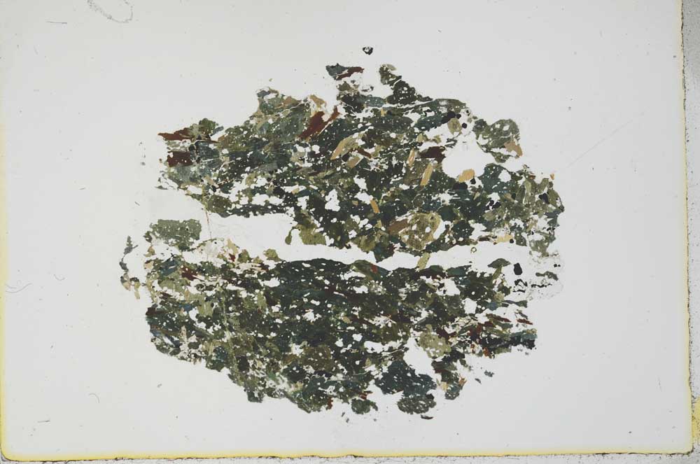Plane Polarized, S21880