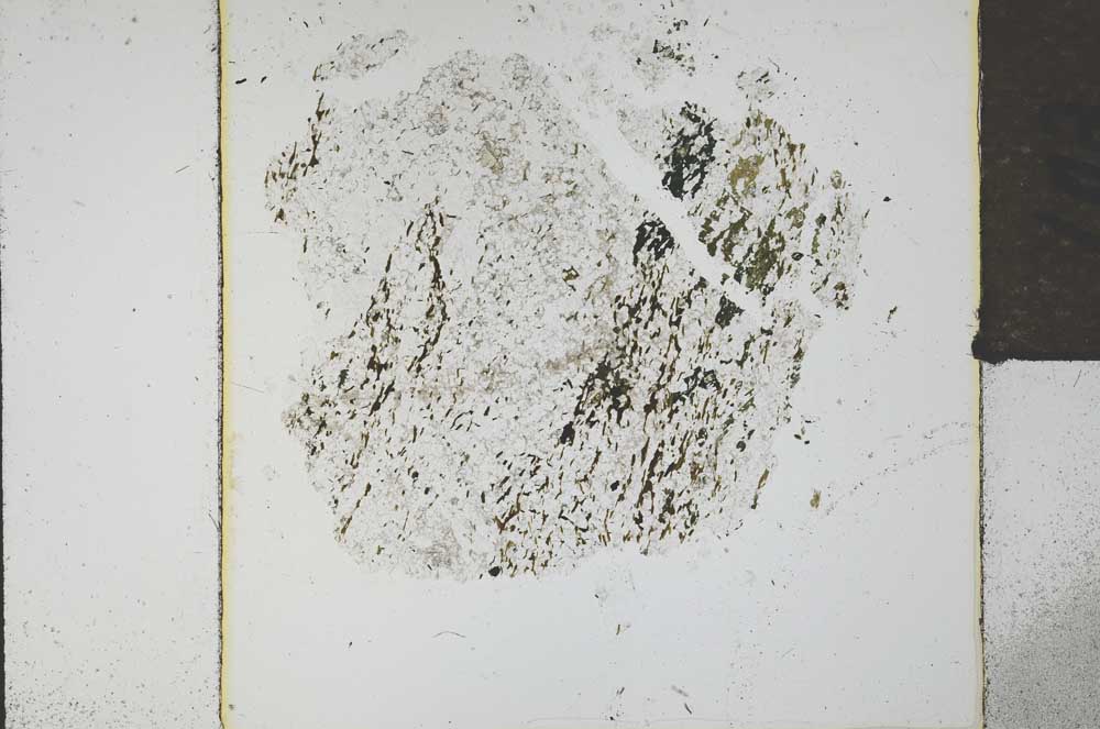Plane Polarized, S21881