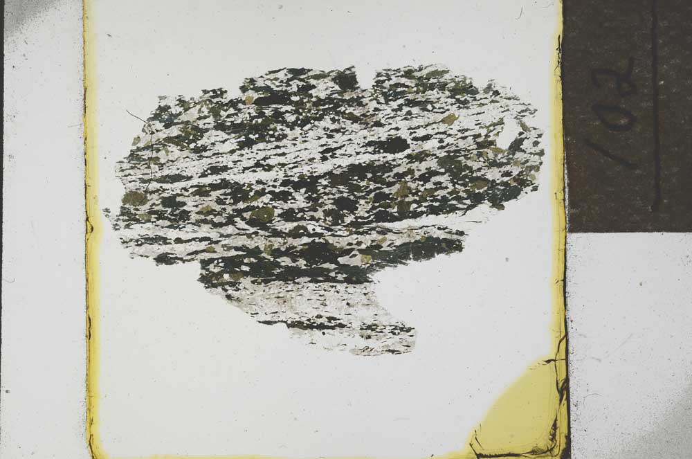 Plane Polarized, S21882