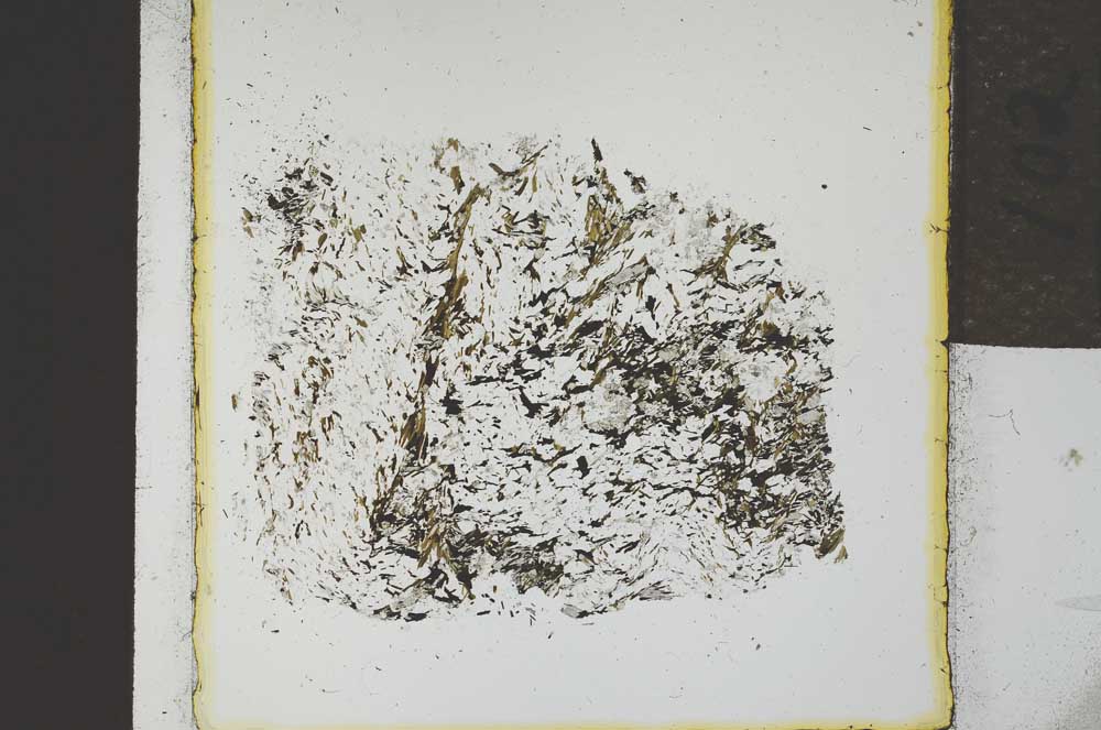 Plane Polarized, S21887