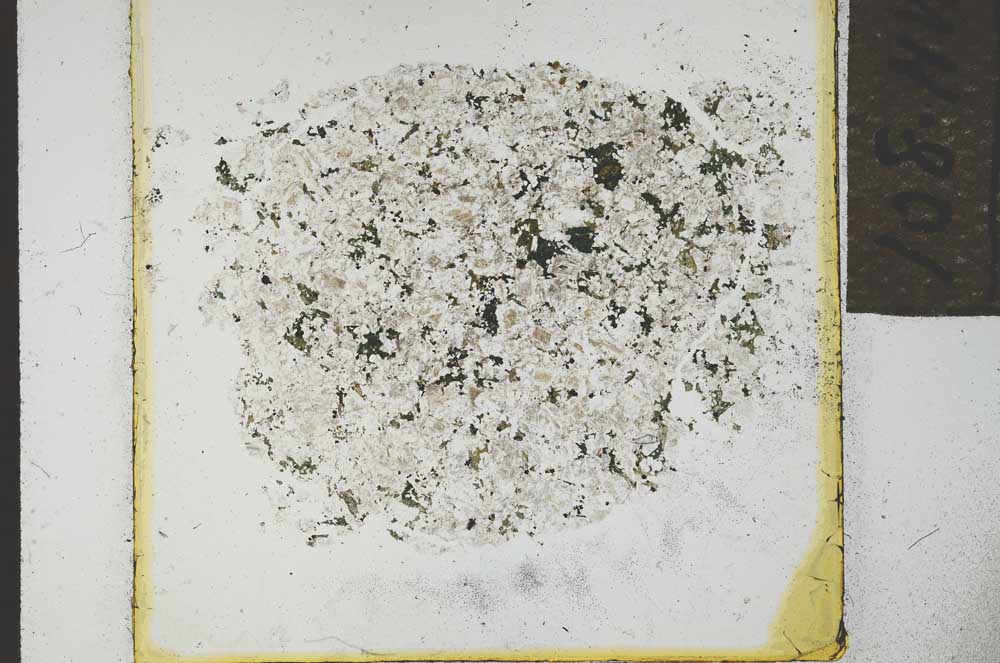 Plane Polarized, S21888