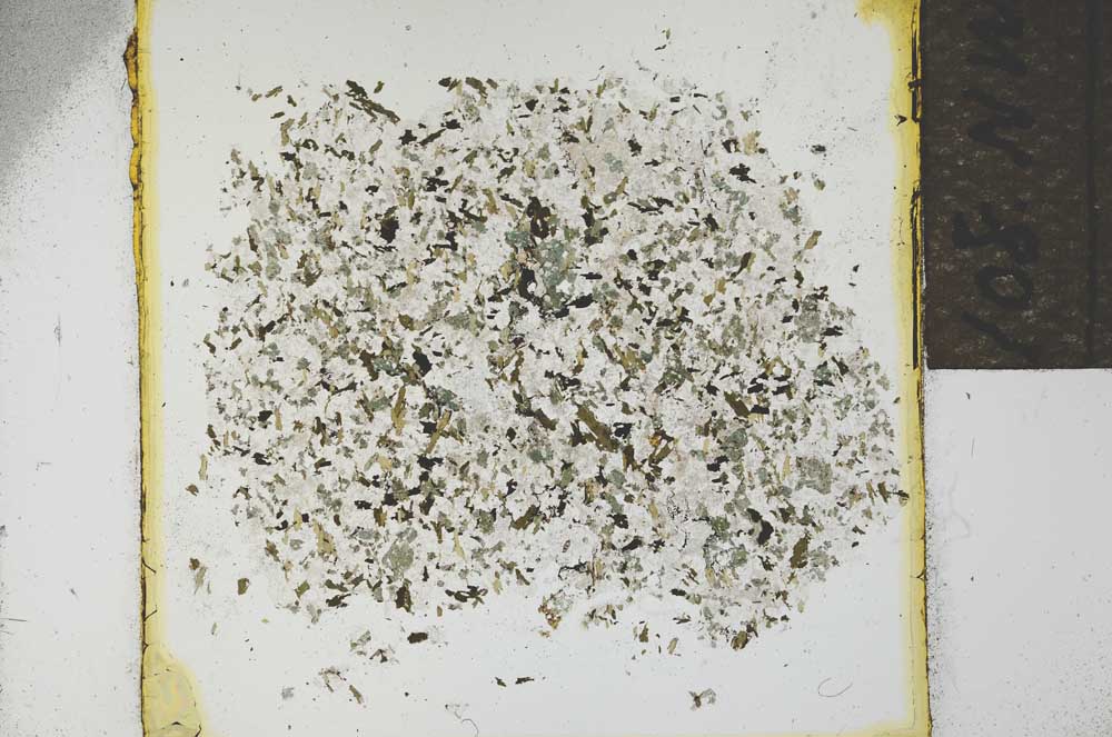 Plane Polarized, S21889
