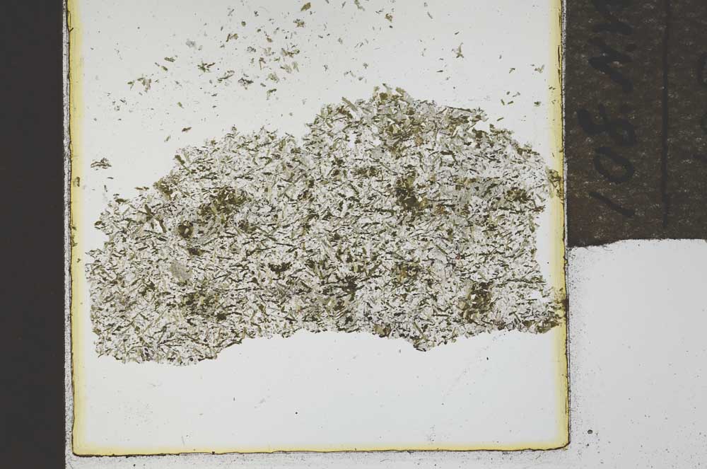 Plane Polarized, S21890