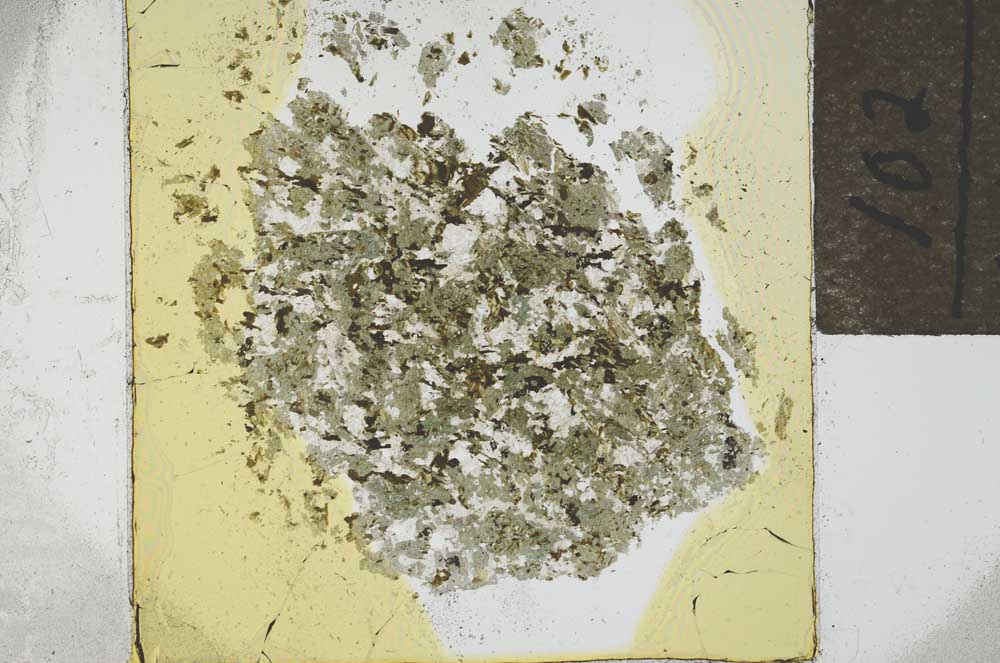 Plane Polarized, S21893