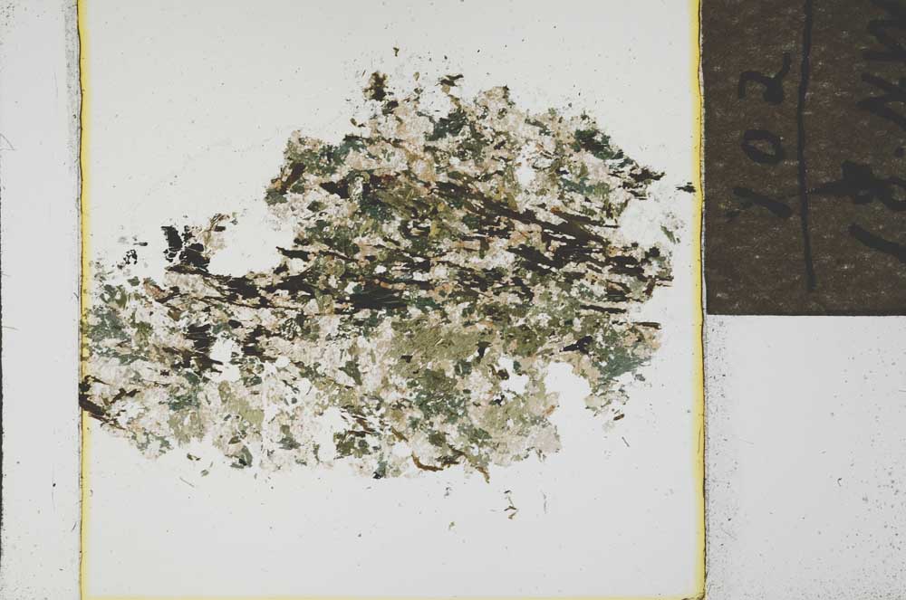 Plane Polarized, S21899