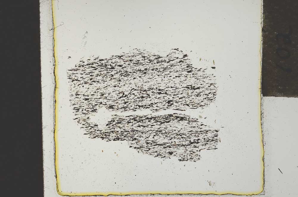 Plane Polarized, S21901