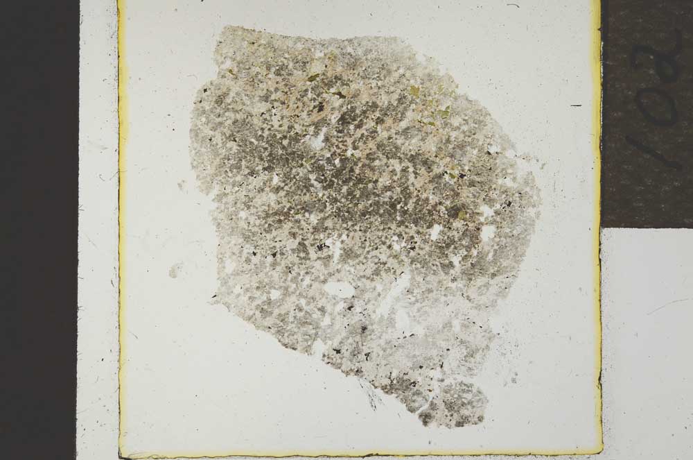 Plane Polarized, S21904