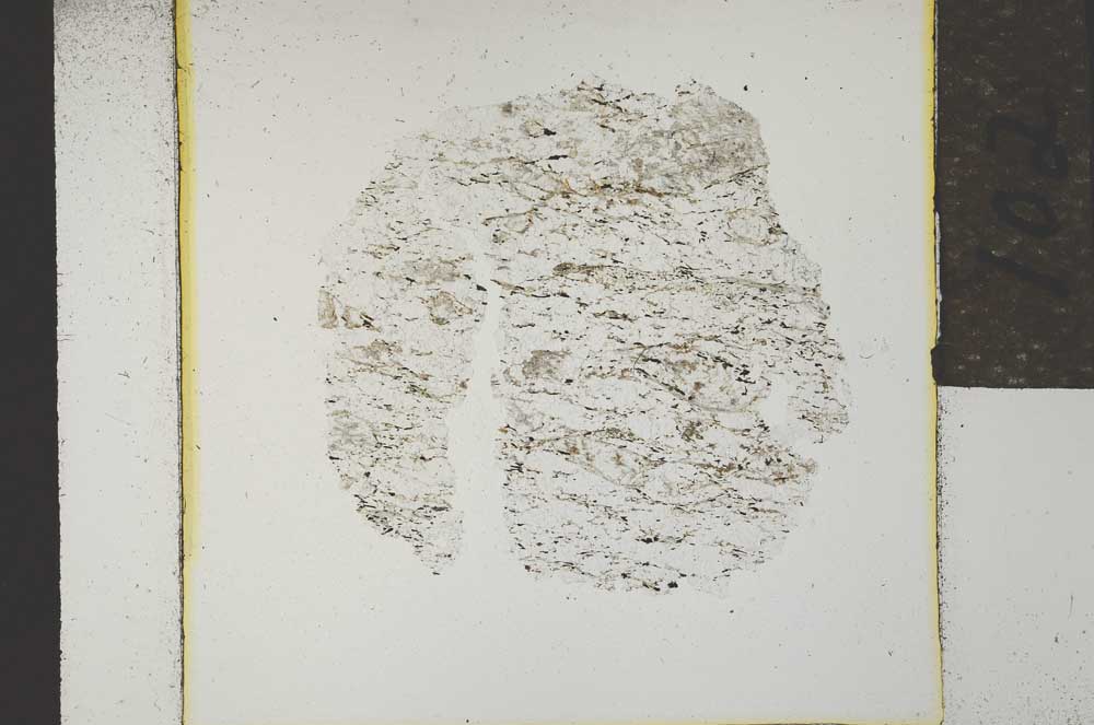 Plane Polarized, S21905