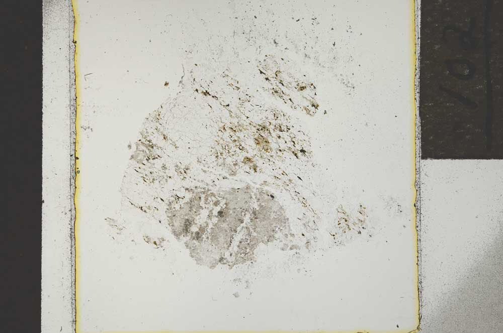 Plane Polarized, S21906